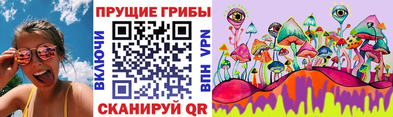 Галлюциногенные грибы прущие грибы  Оренбург 
