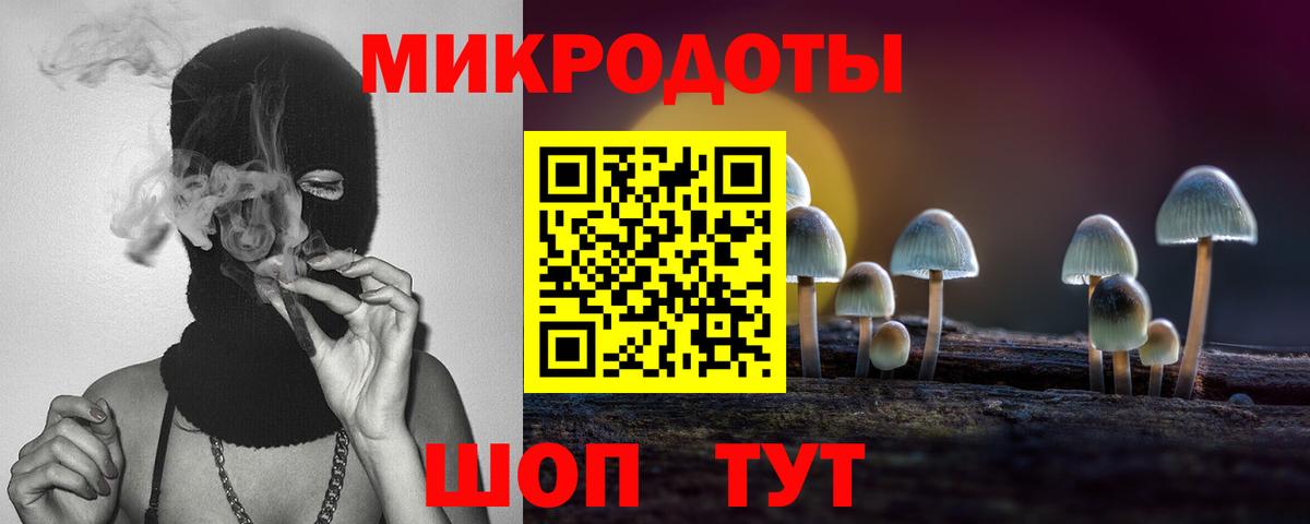 Галлюциногенные грибы Psilocybe Оренбург